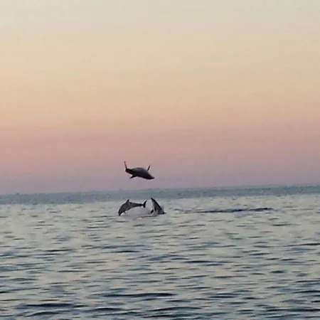 Bed and Breakfast Casa Armonia