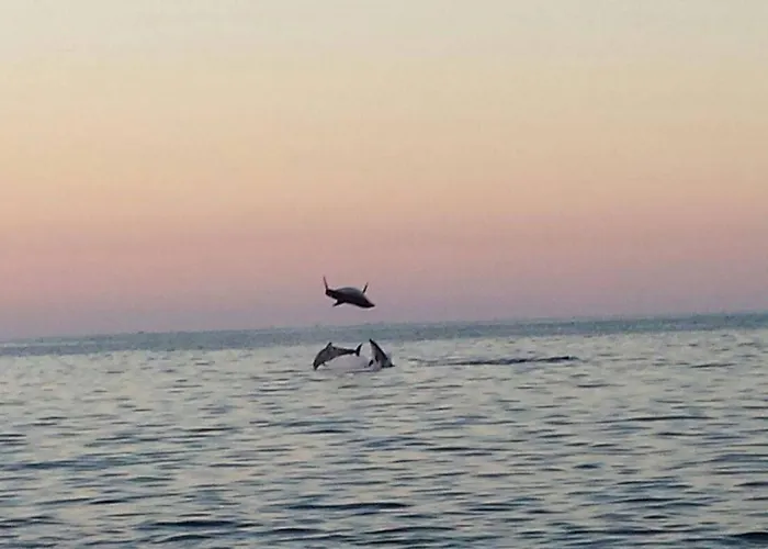 ベッド・アンド・ブレックファスト Casa Armonia