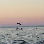 Oda ve Kahvaltı Casa Armonia