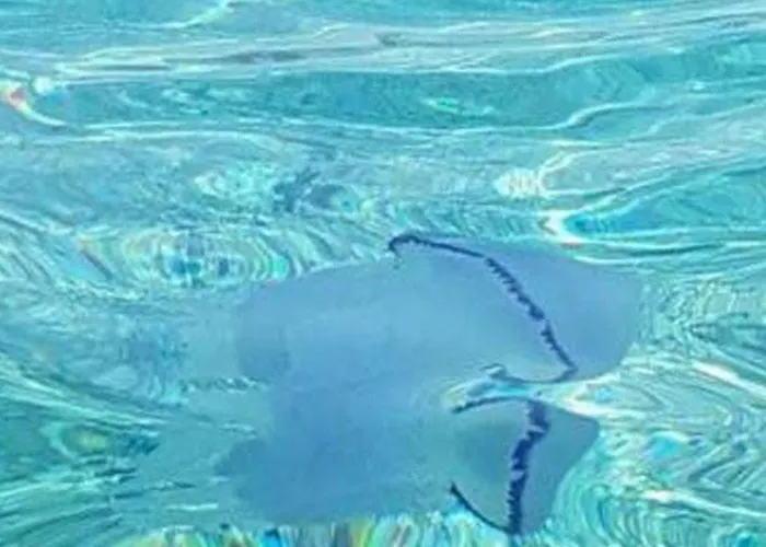 Casa Armonia 住宿加早餐酒店 4*